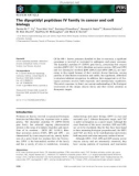 Báo cáo khoa học: The dipeptidyl peptidase IV family in cancer and cell biology