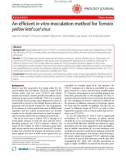 Báo cáo y học: An efficient in vitro-inoculation method for Tomato yellow leaf curl virus