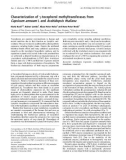 Báo cáo khoa học: Characterization of c-tocopherol methyltransferases from Capsicum annuum L and Arabidopsis thaliana