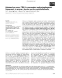 Báo cáo khoa học: Lithium increases PGC-1a expression and mitochondrial biogenesis in primary bovine aortic endothelial cells