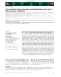 Báo cáo khoa học: Post-ischemic brain damage: pathophysiology and role of inﬂammatory mediators