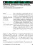 Báo cáo khoa học: Impairment of mitochondrial function by minocycline