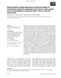 Báo cáo khoa học: Differentiation stage-dependent preferred uptake of basolateral (systemic) glutamine into Caco-2 cells results in its accumulation in proteins with a role in cell–cell interaction