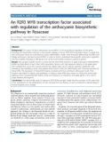 báo cáo khoa học: An R2R3 MYB transcription factor associated with regulation of the anthocyanin biosynthetic pathway in Rosaceae