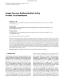 Báo cáo hóa học: Image Content Authentication Using Pinned Sine Transform