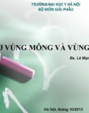 Bài giảng Giải phẫu: Cơ vùng mông và vùng đùi - Bs. Lê Mạnh Thường