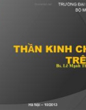 Bài giảng Giải phẫu: Thần kinh chi trên - Bs. Lê Mạnh Thường