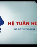 Bài giảng y khoa: Hệ tuần hoàn