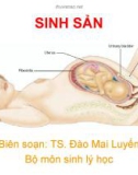 Bài giảng Sinh sản - TS. Đào Mai Luyến