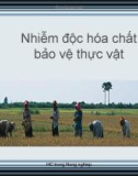 Bài giảng Nhiễm độc hóa chất bảo vệ thực vật