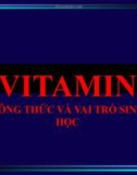 Bài giảng Vitamin - Công thức và vai trò sinh học