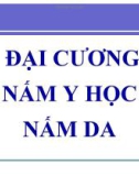 Bài giảng Đại cương nấm y học nấm da