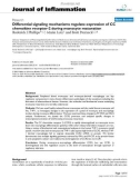 Báo cáo y học: Early Differential signaling mechanisms regulate expression of CC chemokine receptor-2 during monocyte maturatio