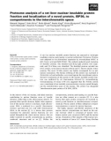 Báo cáo khoa học: Proteome analysis of a rat liver nuclear insoluble protein fraction and localization of a novel protein, ISP36, to compartments in the interchromatin space