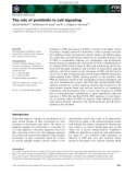 Báo cáo khoa học: The role of prohibitin in cell signaling