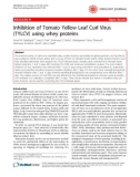 Báo cáo khoa học: Inhibition of Tomato Yellow Leaf Curl Virus (TYLCV) using whey proteins