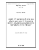 Luận án Tiến sĩ Y học: Nghiên cứu đặc điểm mô bệnh học, hóa mô miễn dịch và tình trạng methyl hóa gen rassf1a trong ung thư biểu mô tuyến tiền liệt