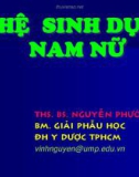 Bài giảng Giải phẫu học: Hệ sinh dục nam nữ - ThS.BS. Nguyễn Phước Vĩnh