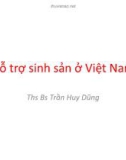 Bài giảng Hỗ trợ sinh sản ở Việt Nam - ThS.BS. Trần Huy Dũng