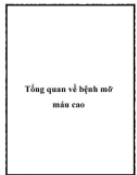 Tổng quan về bệnh mỡ máu cao