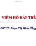 Bài giảng Viêm hô hấp trên - PGS.TS. Phạm Thị Minh Hồng