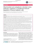 báo cáo khoa học: Mitochondrial and endoplasmic reticulum stress pathways cooperate in zearalenone-induced apoptosis of human leukemic cells