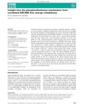 Báo cáo khoa học: Insight into the phosphodiesterase mechanism from combined QM ⁄ MM free energy simulations