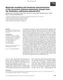 Báo cáo khoa học: Molecular modeling and functional characterization of the monomeric primase–polymerase domain from the Sulfolobus solfataricus plasmid pIT3