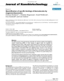 báo cáo khoa học: Quantification of specific bindings of biomolecules by magnetorelaxometry