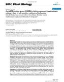 báo cáo khoa học: An ABRE-binding factor, OSBZ8, is highly expressed in salt tolerant cultivars than in salt sensitive cultivars of indica rice