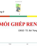 Bài giảng Chi tiết máy (Ts.Bùi Trọng Hiếu) - Chương 9 Mối ghép ren