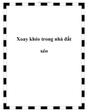 Xoay khéo trong nhà đất xéo