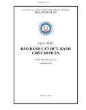 Giáo trình Bào rãnh cắt đứt, rãnh chốt đuôi én (Nghề: Cắt gọt kim loại) - Trường CĐ nghề Thành phố Hồ Chí Minh