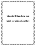 Vitamin B làm chậm quá trình suy giảm nhận thức