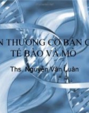 TỔN THƯƠNG CƠ BẢN CỦA TẾ BÀO VÀ MÔ