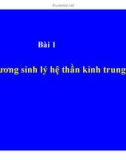 Bài giảng Bài 1: Đại cương sinh lý hệ thần kinh trung ương