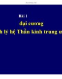 Bài giảng Bài 1: Đại cương sinh lý hệ thần kinh trung ương (tt)