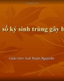 Bài giảng Một số ký sinh trùng gây bệnh - Lê Trần Nguyễn