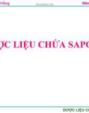 DƯỢC LIỆU CHỨA Saponin