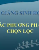 Bài giảng Sinh học 9 bài 36: Các phương pháp chọn lọc