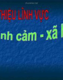 Lĩnh vực phát triển tình cảm xã hội