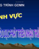 Lĩnh vực phát triển Nhận thức