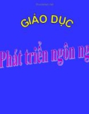 Lĩnh vực phát triển ngôn ngữ