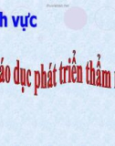 Lĩnh vực phát triển Thẩm mỹ