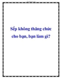 Sếp không thăng chức cho bạn, bạn làm gì?