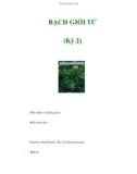 BẠCH GIỚI TỬ (Kỳ 2)