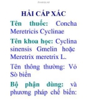 HẢI CÁP XÁC