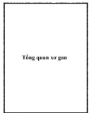 Tổng quan xơ gan