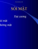 Bài giảng: Sỏi mật