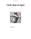 Cách chọn cá ngon